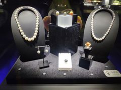 -湖南省地质博物馆