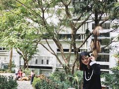 -香港大学