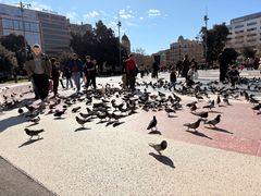 -加泰罗尼亚广场