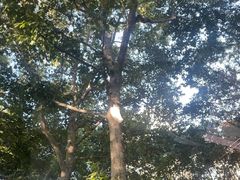 -徐家汇源景区-衡山公园