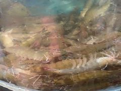 -鑫渔港海鲜本地菜·山海关浑锅(东戴河店)