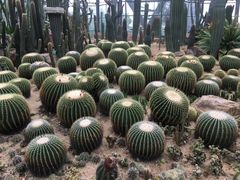 -华南国家植物园-售票处