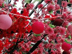 -湘邻呷铺·田园家宴(汉基广场店)