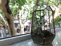 -蝶舍·MAISON PAPILLON