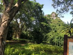 -南宁花花大世界景区