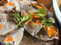 -宁波柏悦酒店·钱湖渔港