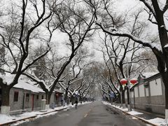 -隆德堂青瓷艺术·茶馆(故宫店)