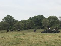 -米内日亚国家公园