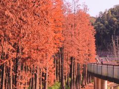 -青山湖景区