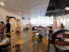 大堂-喵匠猫主题咖啡(凯德和平广场店)