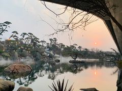 -罗红摄影艺术馆