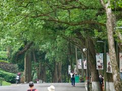 -福清灵石山国家森林公园