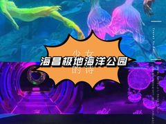 -海合安成都极地海洋公园