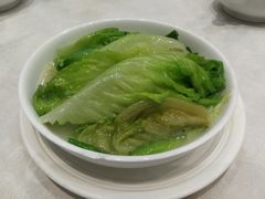 -鹅城