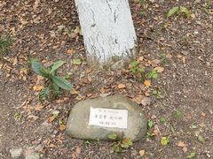 -都江堰中华大熊猫苑