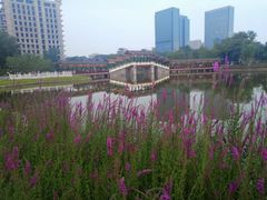 -西海子公园