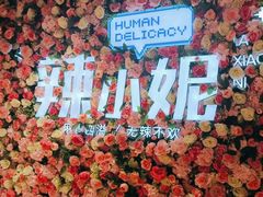 -辣小妮de川菜馆(红旗Mall店)