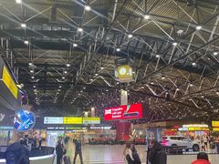 -谢列梅捷沃国际机场