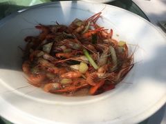 -天地生态农庄