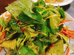 折耳根拌胡豆-天回镇何氏豆腐(总店)