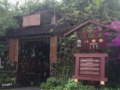 -郫都区农科村景区