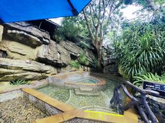 -海口观澜湖火山温泉谷