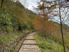 -北仑森林植物园