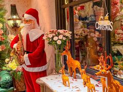 -狮拾久·现代新加坡料理(壹方城店)