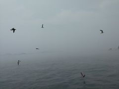 -海驴岛(荣成市)