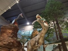 -湖南省地质博物馆