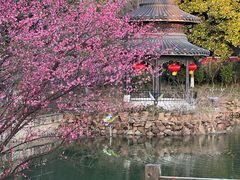 -天目湖山水园