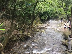 -羚羊峡古栈道森林公园