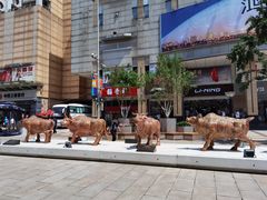 -和平菓局(王府井店)