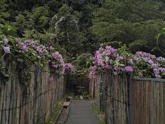 -世间香境·七溪地