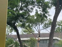 -武汉动物园