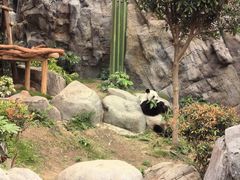 -香港海洋公园