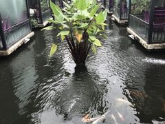 -鹅公村·国家非遗传承(荔湾店)
