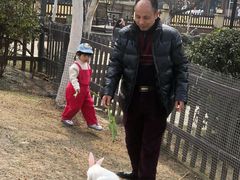 -洪湖家庭农场·团建·露营·会议