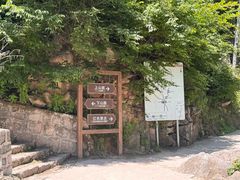 -大岭沟猕猴桃谷风景区