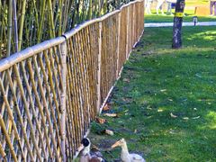 -春晖园度假酒店温泉