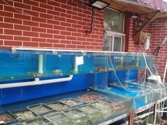 水产区-海帮主·蒸汽海鲜青岛菜(栈桥火车站店)