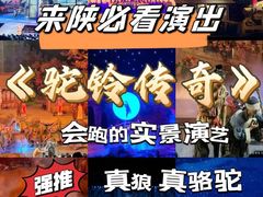 -《驼铃传奇》秀