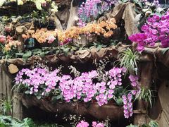 -南通洲际绿博园