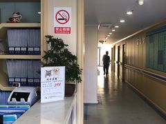 -喜多萌中农锦绣动物医院24H·猫科·牙科MRI·CT