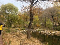 -大兴滨河森林公园