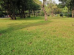 -晓港公园