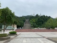 -铁山坪森林公园