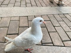 -成都欢乐谷