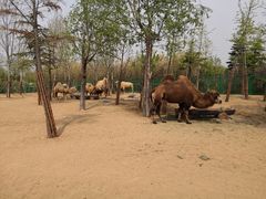 景点-临沂动植物园
