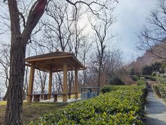 -浮山香苑